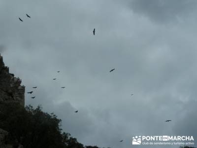 Parque Nacional Monfragüe - Reserva Natural Garganta de los Infiernos-Jerte;cultura viajes